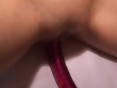 Dutch Lesbians Using Pink Dildos Arousing Each Other